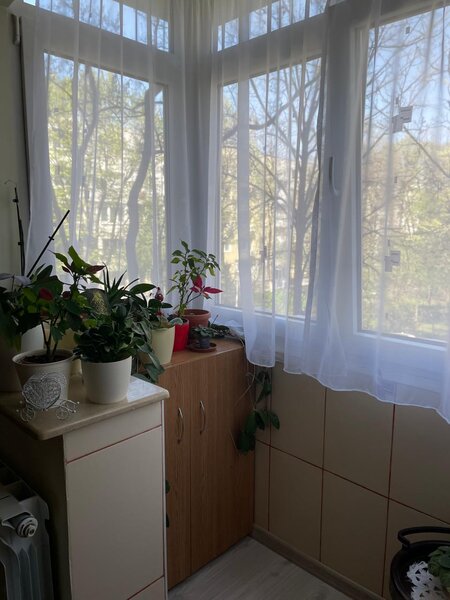 Berceni, Brancoveanu, Izvorul Oltului, etaj 2, bloc reabilitat